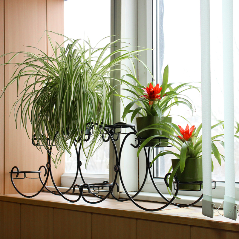 stand de fleurs sur le rebord de la fenêtre