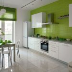Cuisine linéaire aux murs verts