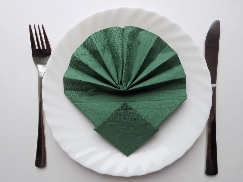 serviettes de paon