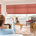 power window shades pros