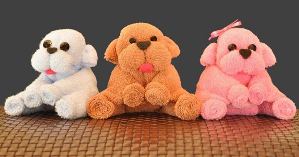 chiens de serviettes