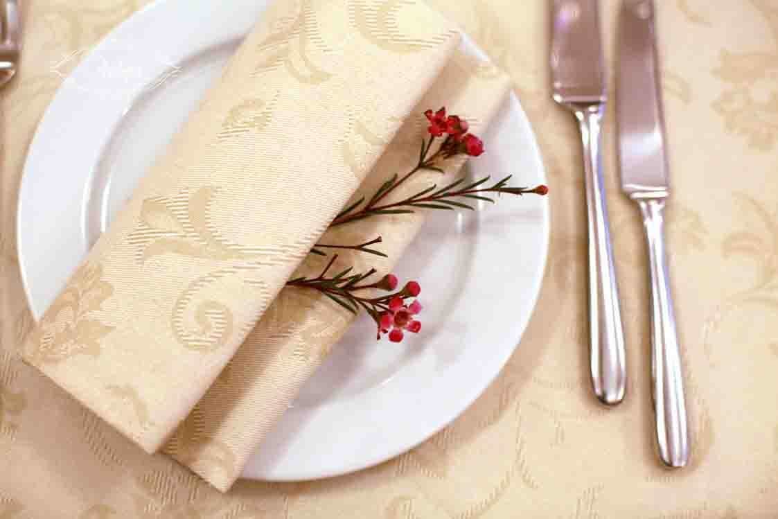 photo serviettes en tissu
