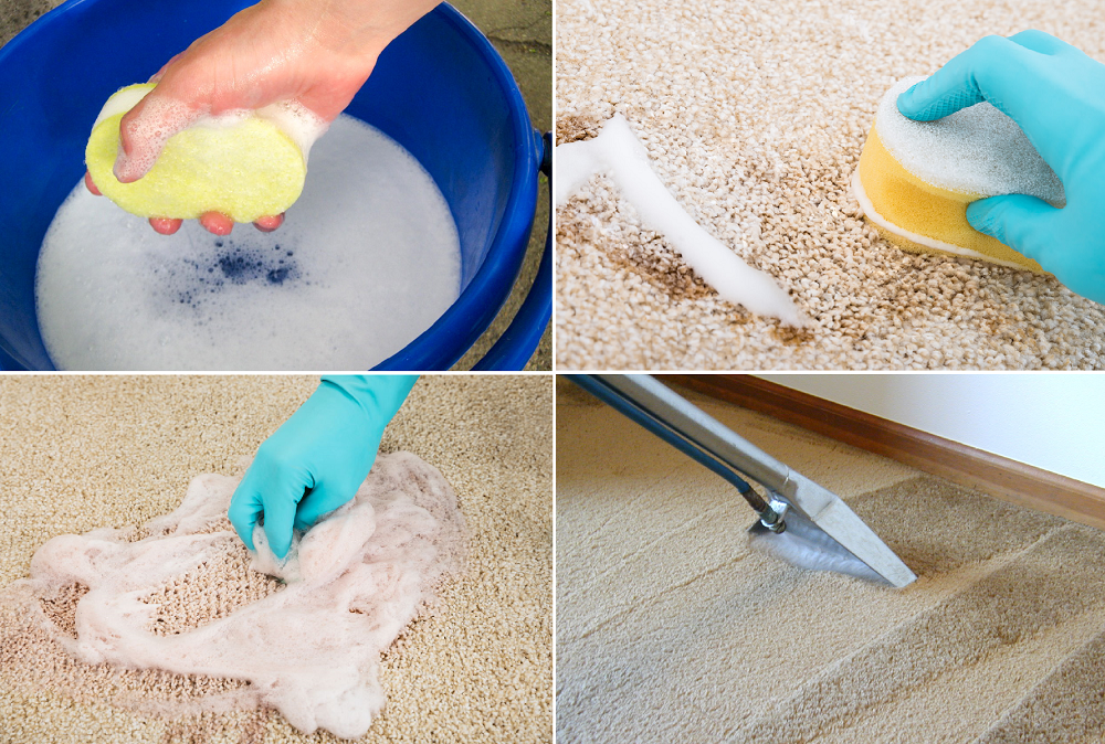 comment enlever la tache d'urine du tapis