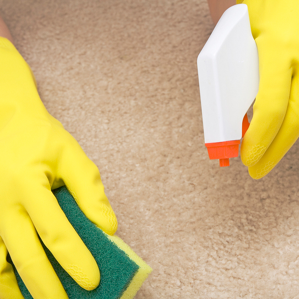 comment se débarrasser de la forte odeur d'urine de chat sur le tapis