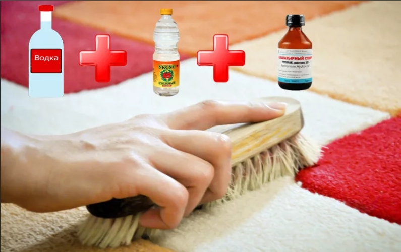 comment se débarrasser de l'odeur d'urine de chat sur un tapis
