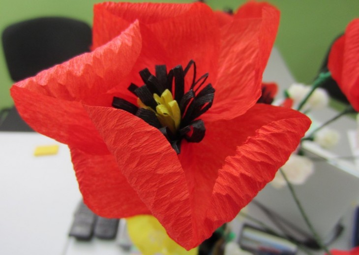 coquelicots de serviette