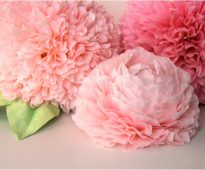 pivoine de serviette