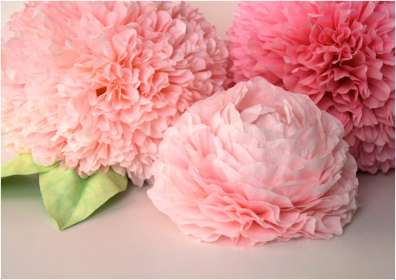 pivoine de serviette