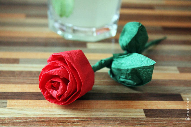 rose de la photo de la serviette
