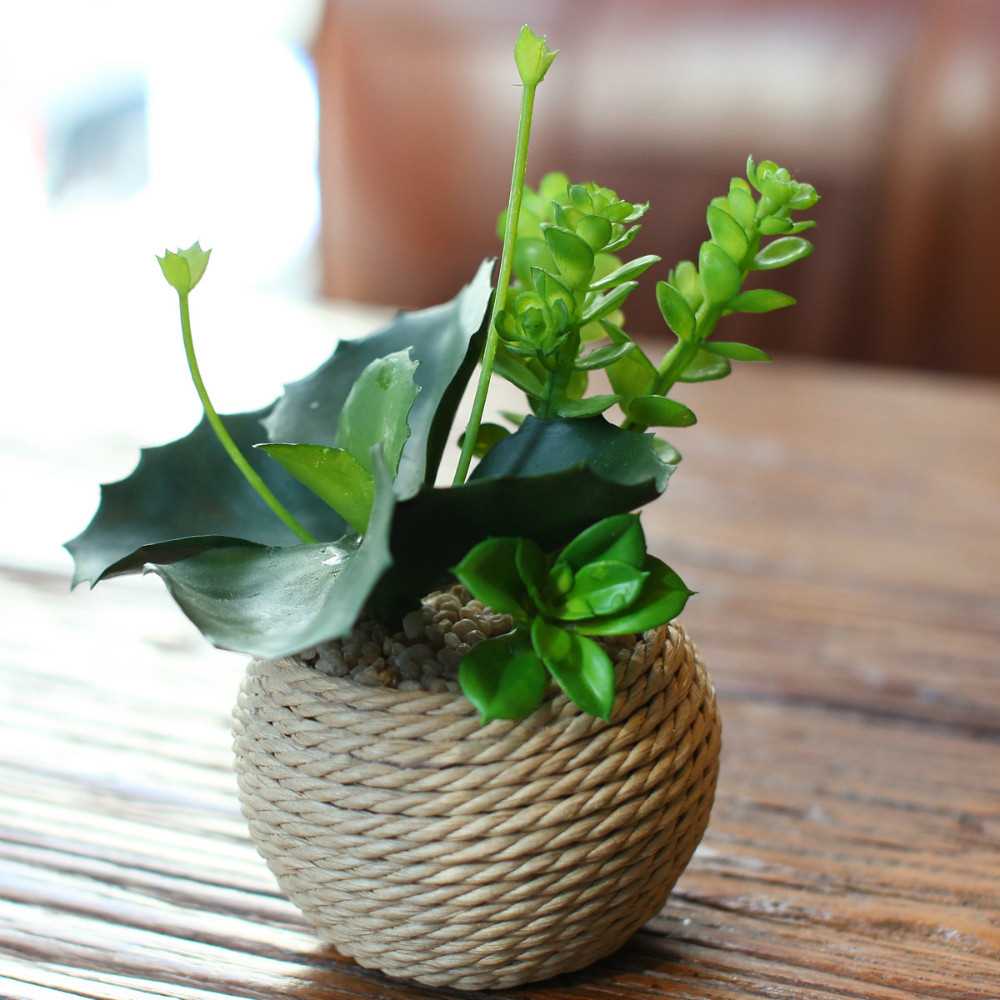 décor de vase avec ficelle