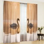 photo curtains on windows design photos