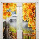 photocurtains on the windows interior
