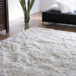 tapis dans les options de photo intérieur