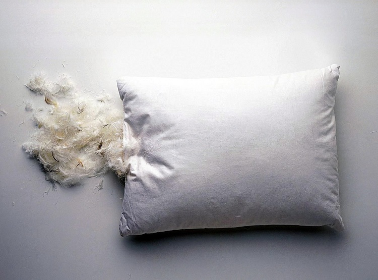 oreiller de plumes