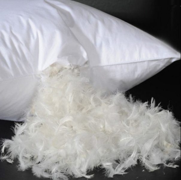 oreiller de plumes