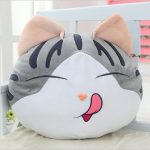 options de photo de chat oreiller
