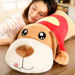 oreiller de chien