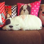 espèces de photo de chien d'oreiller