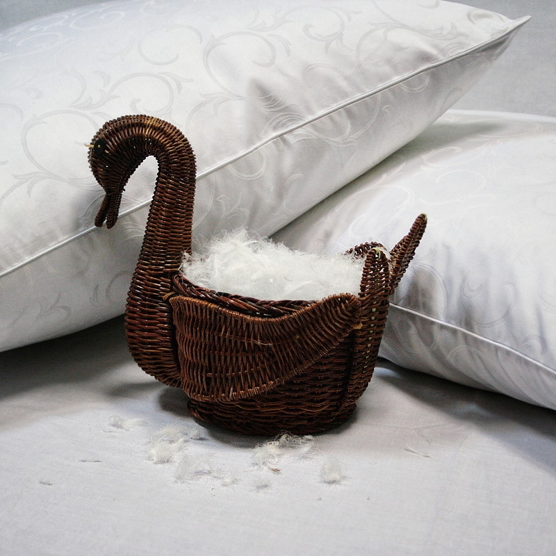 cygne oreillers