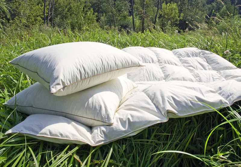 coussins de cygne fluff aérer
