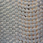 plaid chic de pompons