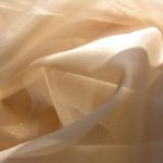 tulle toile d'araignée photo autorisation