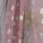 tulle gossamer photo espèces