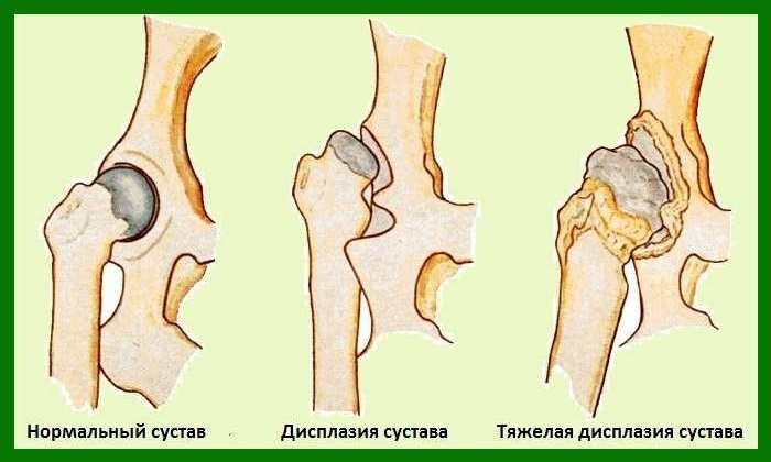 pneu freyka indications de porter