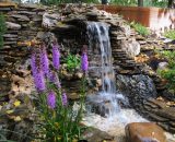 belle cascade
