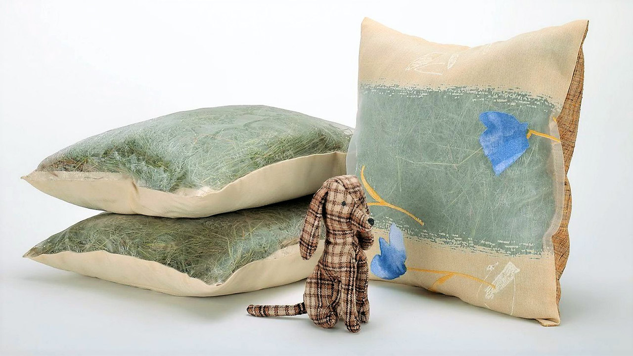coussin d'herbe